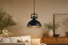 Luminaire industriel