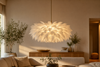 Luminaire plume
