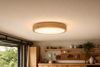 Plafonnier LED garage
