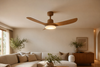 Plafonnier ventilateur salon
