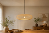 Suspension luminaire