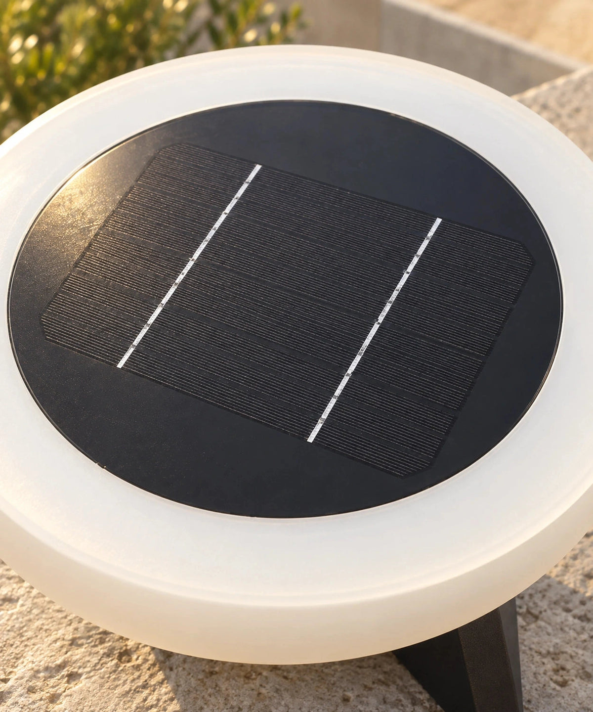 Gros plan du panneau solaire circulaire placé au-dessus de la vasque diffusante