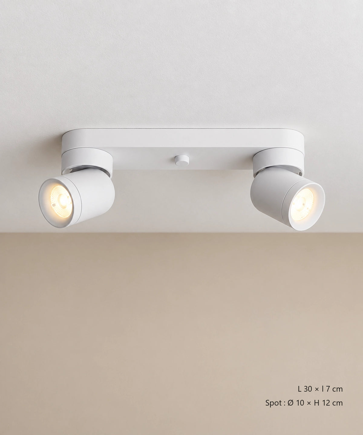 Version blanche à deux spots cylindriques inclinés sur une platine allongée Image